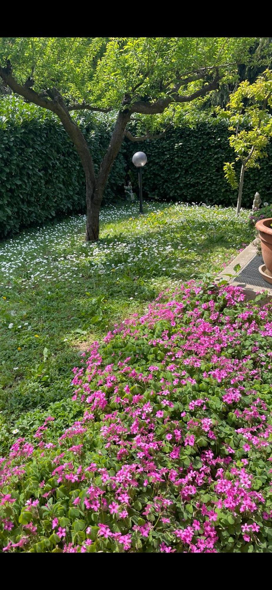 Villa Near Milan & Rho Fiera Gaggiano 외부 사진